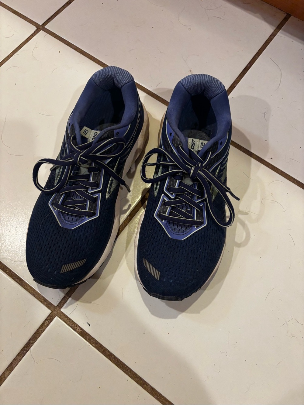 Brooks Ghost 12